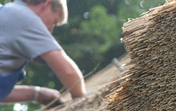 professional Vigo thatchers